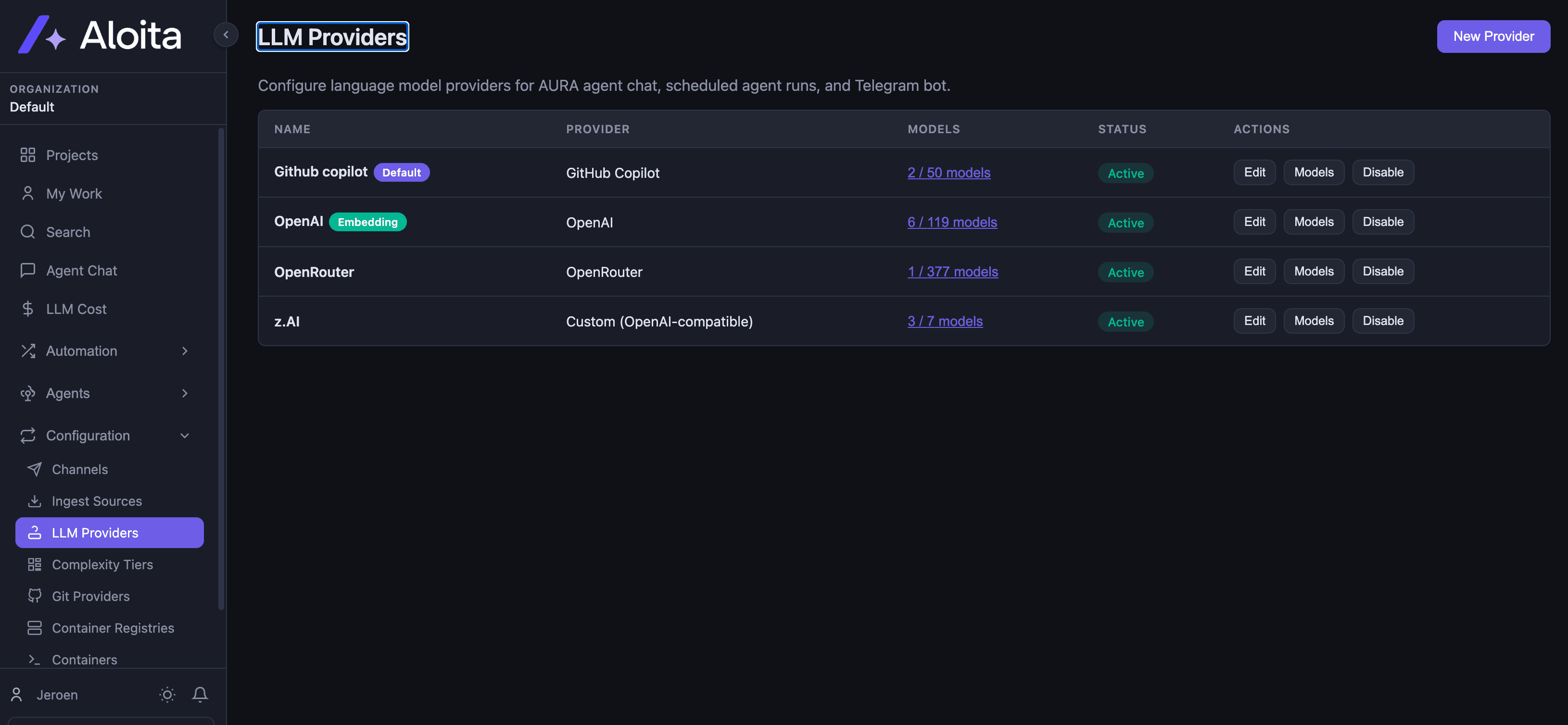 Aloita LLM Providers table listing configured providers such as GitHub Copilot, OpenAI, OpenRouter, and a custom endpoint.